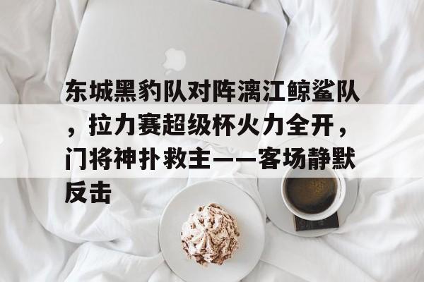 关于东城黑豹队对阵漓江鲸鲨队，拉力赛超级杯火力全开，门将神扑救主——客场静默反击的信息九游体育入口